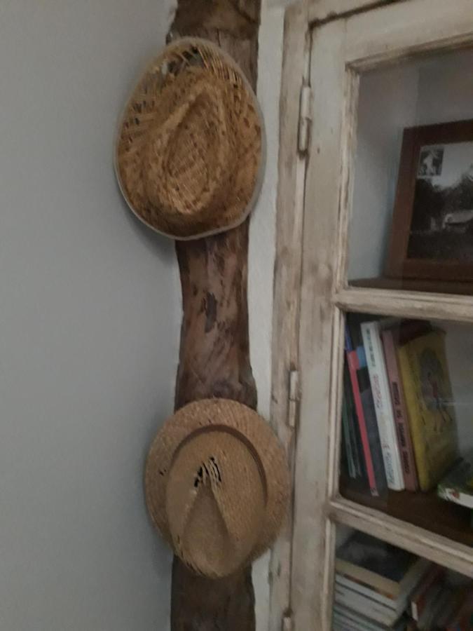 Bed and Breakfast La Mesonnetta Soulignonne Zewnętrze zdjęcie